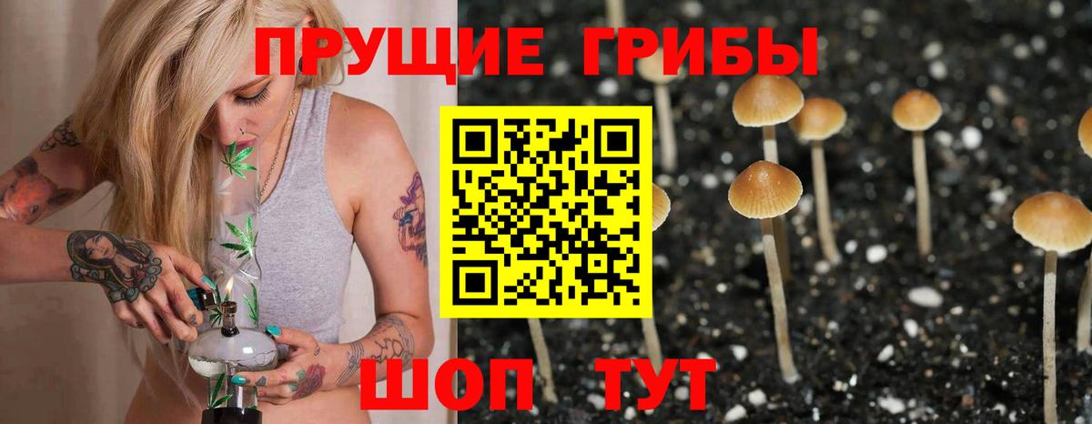 Галлюциногенные грибы Magic Shrooms  Вход с VPN  Пугачёв 